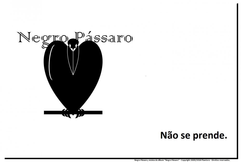 Negro Pássaro